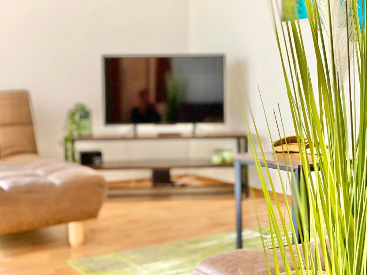 Elbflair Apartman Pirna Kültér fotó