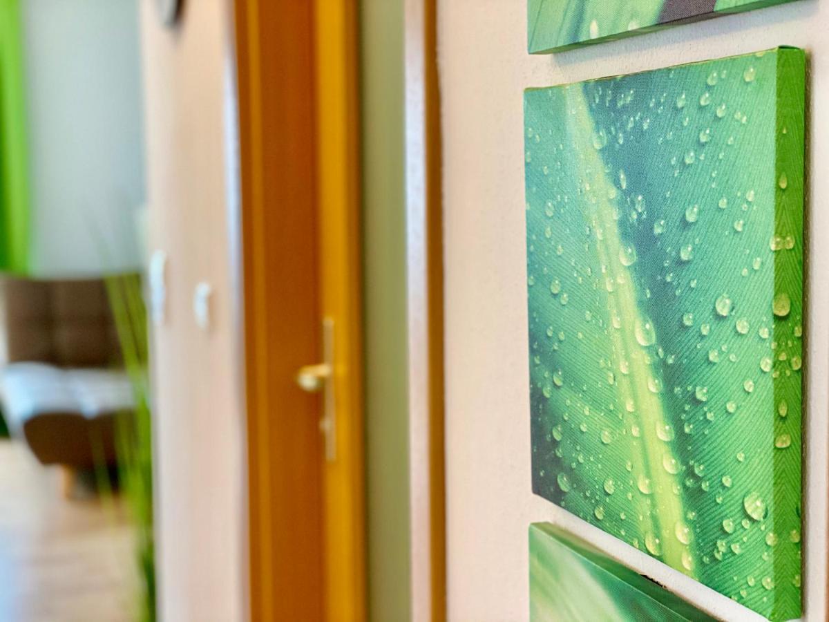 Elbflair Apartman Pirna Kültér fotó